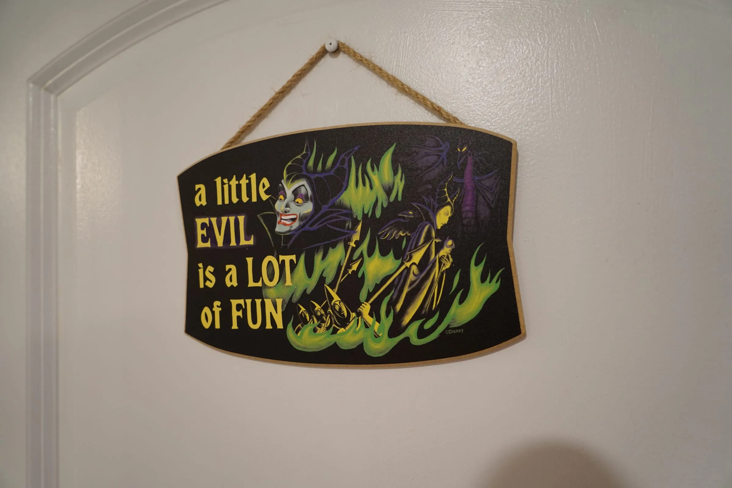 Themed pillow detail